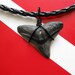Shark Tooth Necklace, Bull Shark fossil, Venice-Florida, 18" Braided leather, "Black Out"