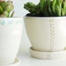 Garden Planter and Saucer- White Ceramic- Beige Polka Dots