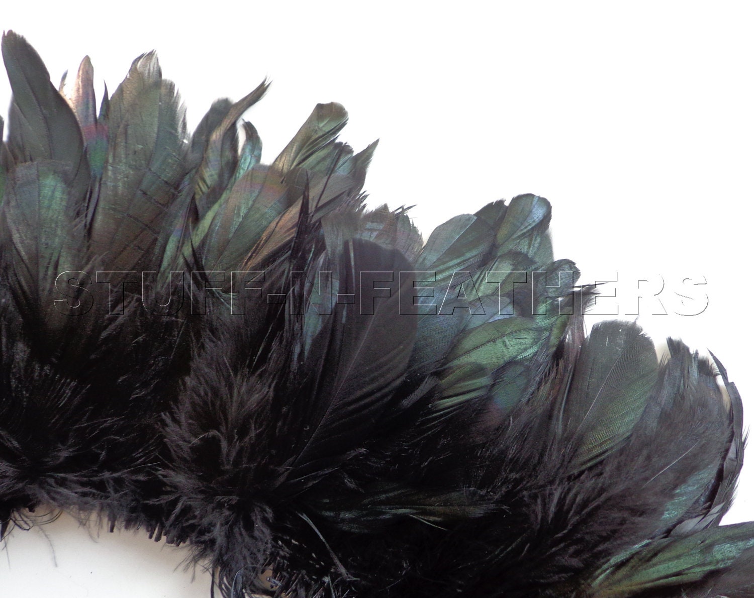 Wholesale bulk feathers IRIDESCENT Black rooster coque