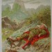 1900 French Victorian,rare Chromolithograph plate Le Petit Poucet