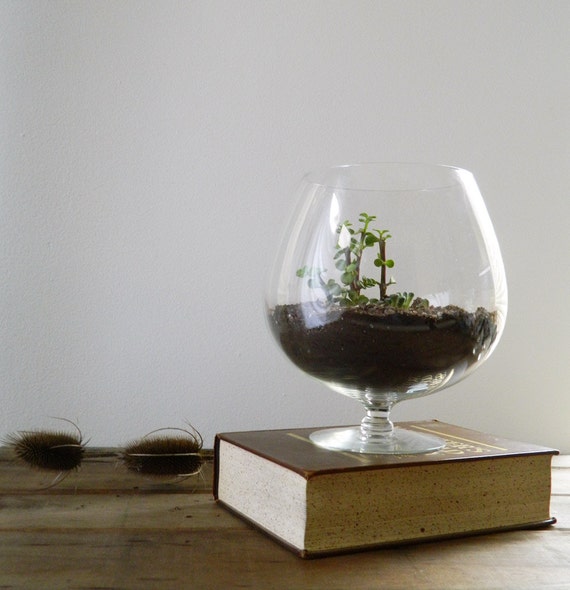 Vintage Glass Brandy Snifter Terrarium Gold Fish by MyOtherMind