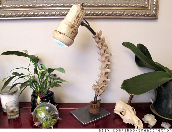 Spinal Vertebrae Table Lamp