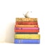Colorful Vintage Book Collection