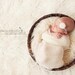 Newborn Stretch Knit Baby Wrap - Photography Prop - In Stock and Ready to Ship