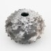 Spiked Ceramic Pot - Sawdust Fired