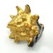 Gold dipped carved shell statement ring