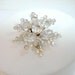 Sparkling Crystal Clear Snowflake brooch 1387ag-040810000
