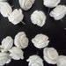 White 18mm resin flower push pin thumb tack