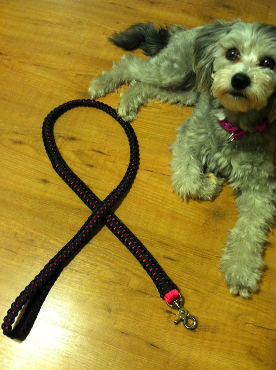 Items similar to 60in. 550 Paracord Dog Leash on Etsy