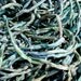 Heavenly 1/8 inch hand dyed silk cord in 5 yrd bundle