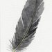 Feather art - original watercolor painting ACEO