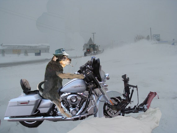 Items similar to snowstorm, dog plowing snow,with harley davidson