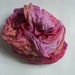 Rosy Posy play silk