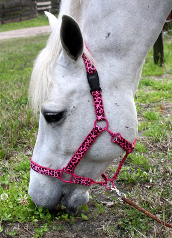 Items similar to Hot Pink Cheetah Print Horse Halter Pick Your Size