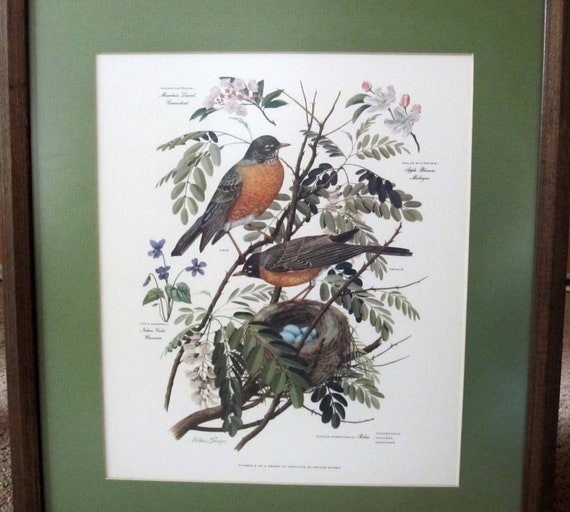 Vintage Bird Prints by Arthur Singer