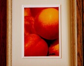 Nectarines in a New Blonde Wood Frame 9x11 - Kitchen Art- Housewarming-Fruit Photo-Orange