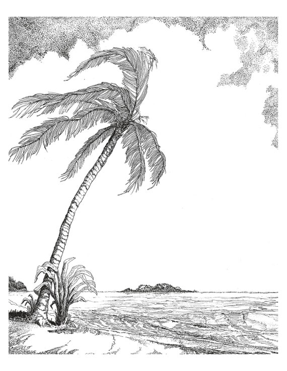 Items similar to Breezy Palm Tree 12x14 black ink drawing on white on Etsy