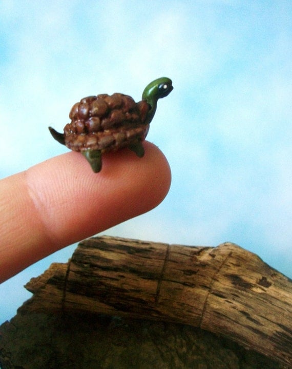 Mini Box Turtle Tortoise for Terrariums Dollhouse by SilkySienna