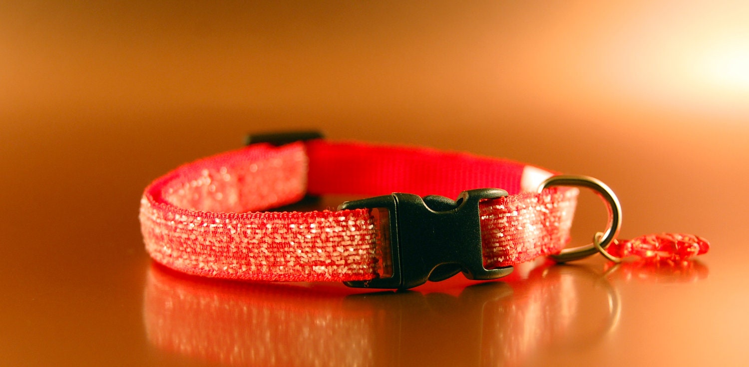 Cat Collars That Don T Fray Cat Collars That Don T Fray
