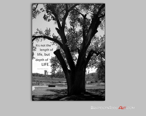Inspirational Quotes About Trees. QuotesGram