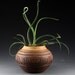 RESERVED FOR ROGER Stoneware Pot (1986)