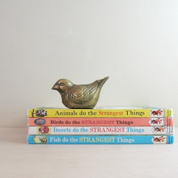 4 Childrens Books Birds Do The Strangest Things Animal