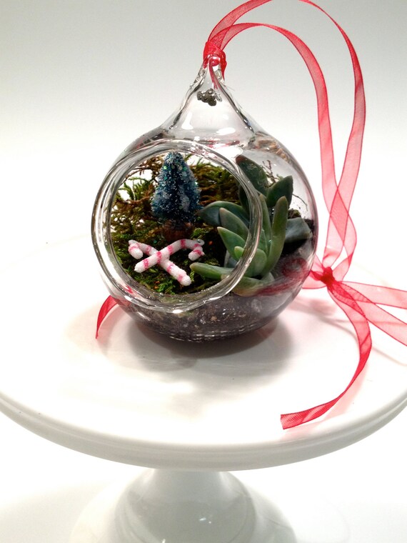 hand blown glass christmas ornament terrarium hand blown glass christmas ornament terrarium