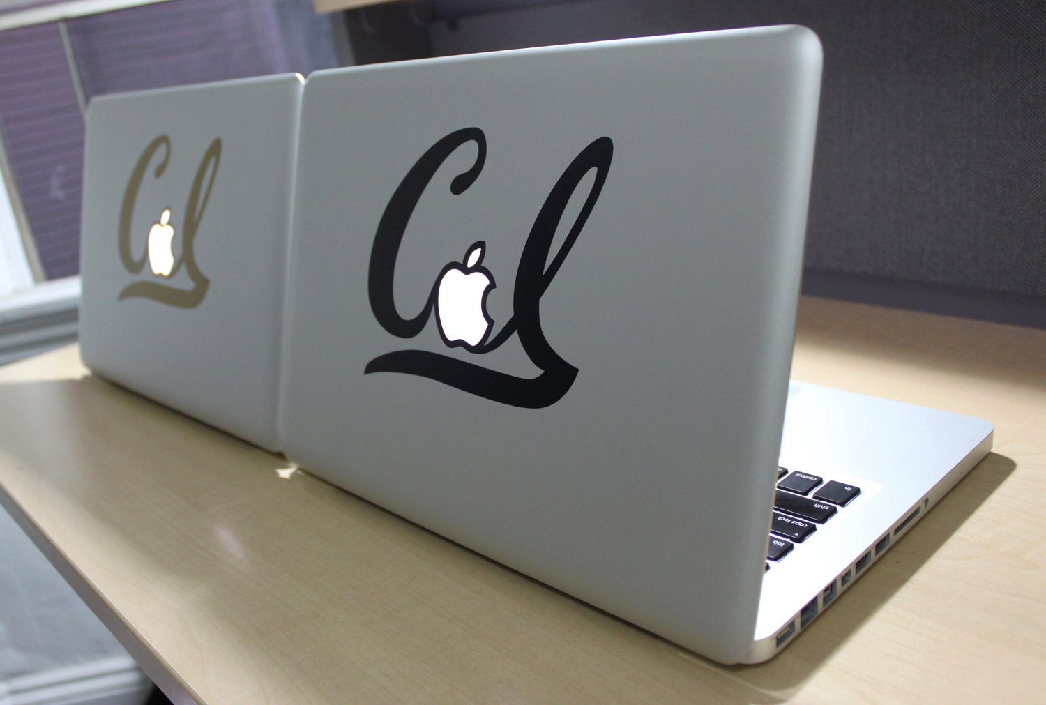 Berkeley DeCAL Stickers