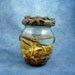 Octopus Mototi Perma-Pet, Original Cephalopod Sea Life Sculpture