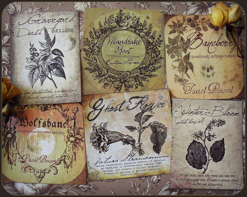 a witchs herbal sticker labels