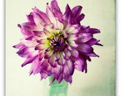 still life photography, flower photography, radiant orchid, mint green, vintage bottle, office art - 20x20 photograph