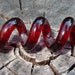 Red Corkscrew Twist Dreadlock glass squiggle dread bead