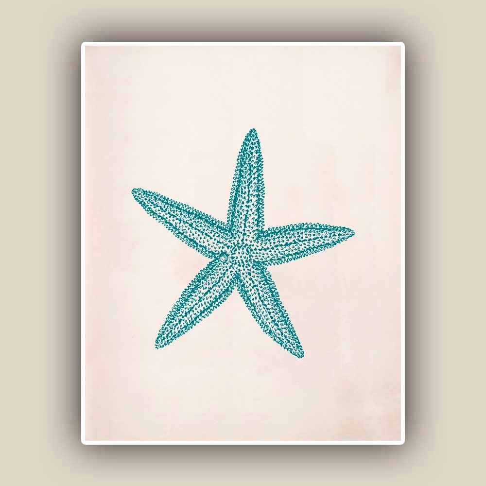 Starfish Print Sea Star 8x10 print Marine Wall Decor