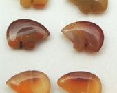 Orange Carnelian Zuni Bear Beads One Pair for Earrings