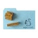 Vintage SQUIRREL Rubber Stamps - Set of 2