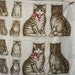 Cat & kittens fabric craft panel, print pattern - 1980s VIP Cranston Print Works - Last panel