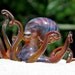 Octopus Glass Sculpture