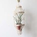 Boho Tiered Shell Plant Hanger