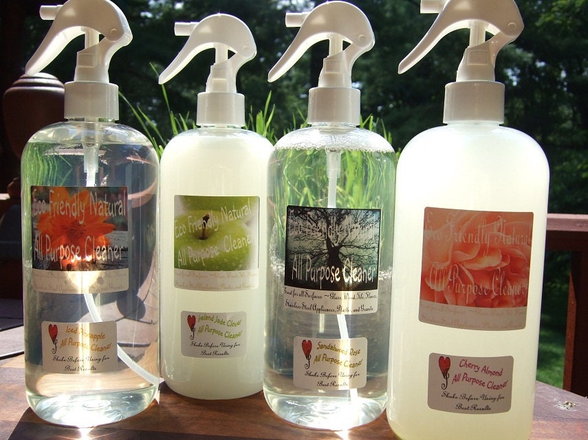 EcoFriendly 16 Oz All Purpose Cleaner PLANT by HeartJCreations