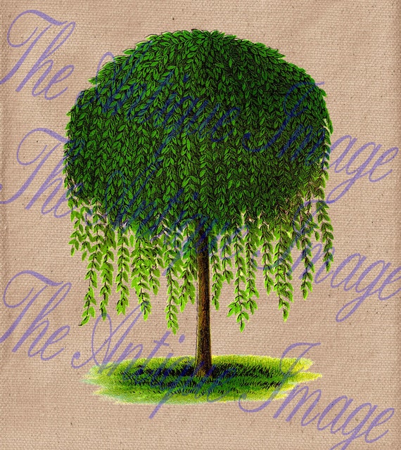 301 Moved Permanently