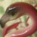 Vintage 1940s flamingo figurine - pink, black, green and ivory