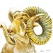 Original Goat Watercolor Painting -6 x 6