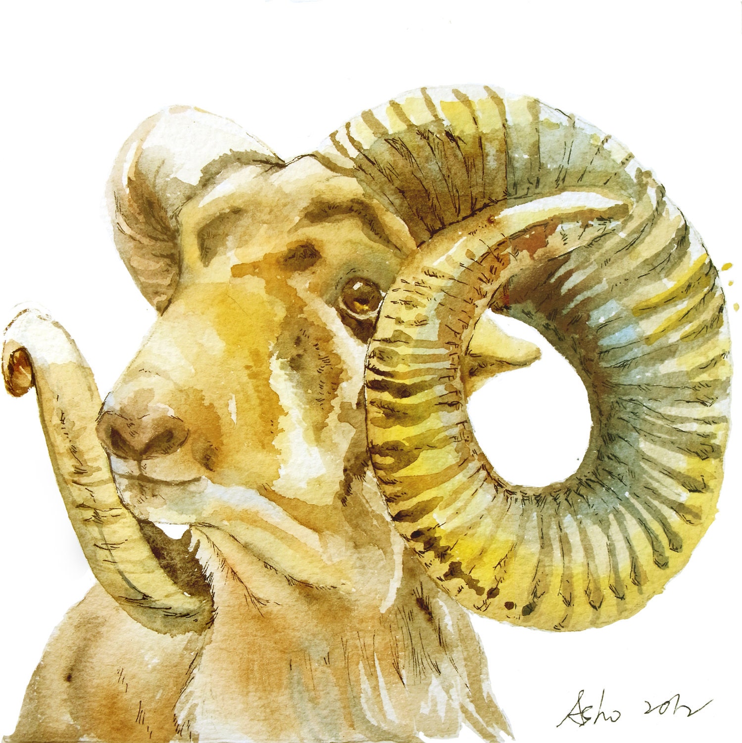 Original Goat Watercolor Painting 6 x 6