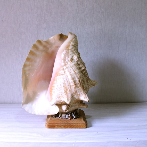 Vintage Conch Shell lamp Seashell art Kitch folk art Night