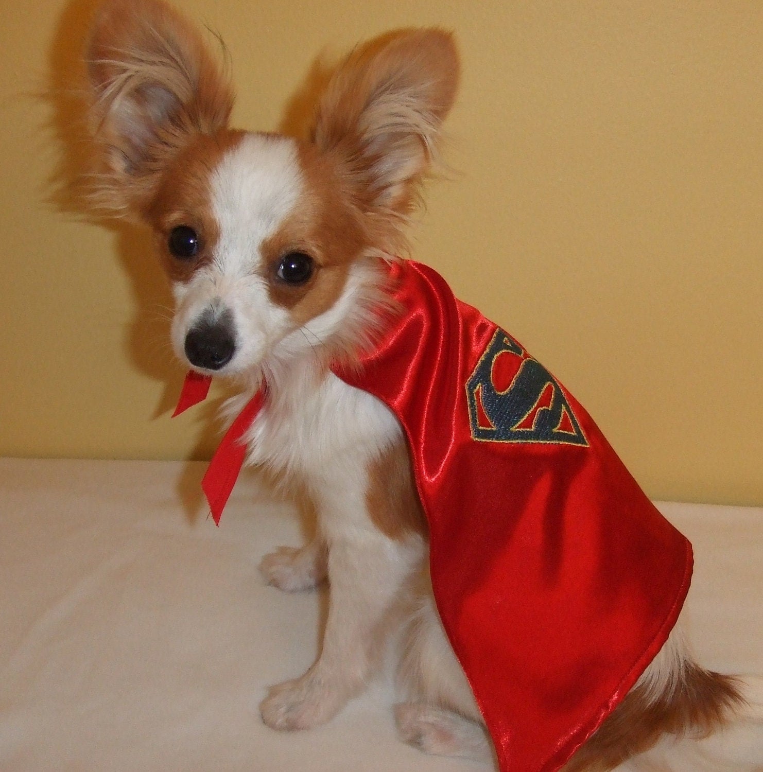 Super Dog Cape 14 Superman Comic Pre-made for fast