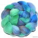 POLWARTH Hand Painted Polwarth top ,roving fiber spinning felting 120g