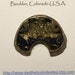 Sale PYRITIZED AMMONITE Natural Flat Polished Fossil Shell From Russia Sale