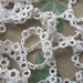 White Tatting Lace, Vintage Handmade Tatted Lace, Long Length, Sewing Supplies