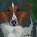 original art aceo card drawing tri color collie dog