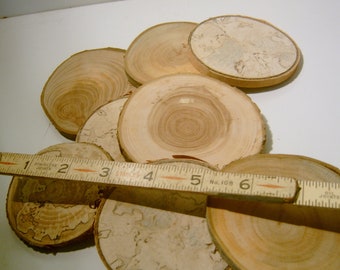 100 Large Assorted Blank Tree Branch Slices 3-4 inch Coaster Size
